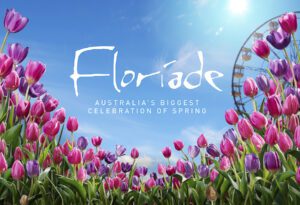 Kidzklub_Partners-06