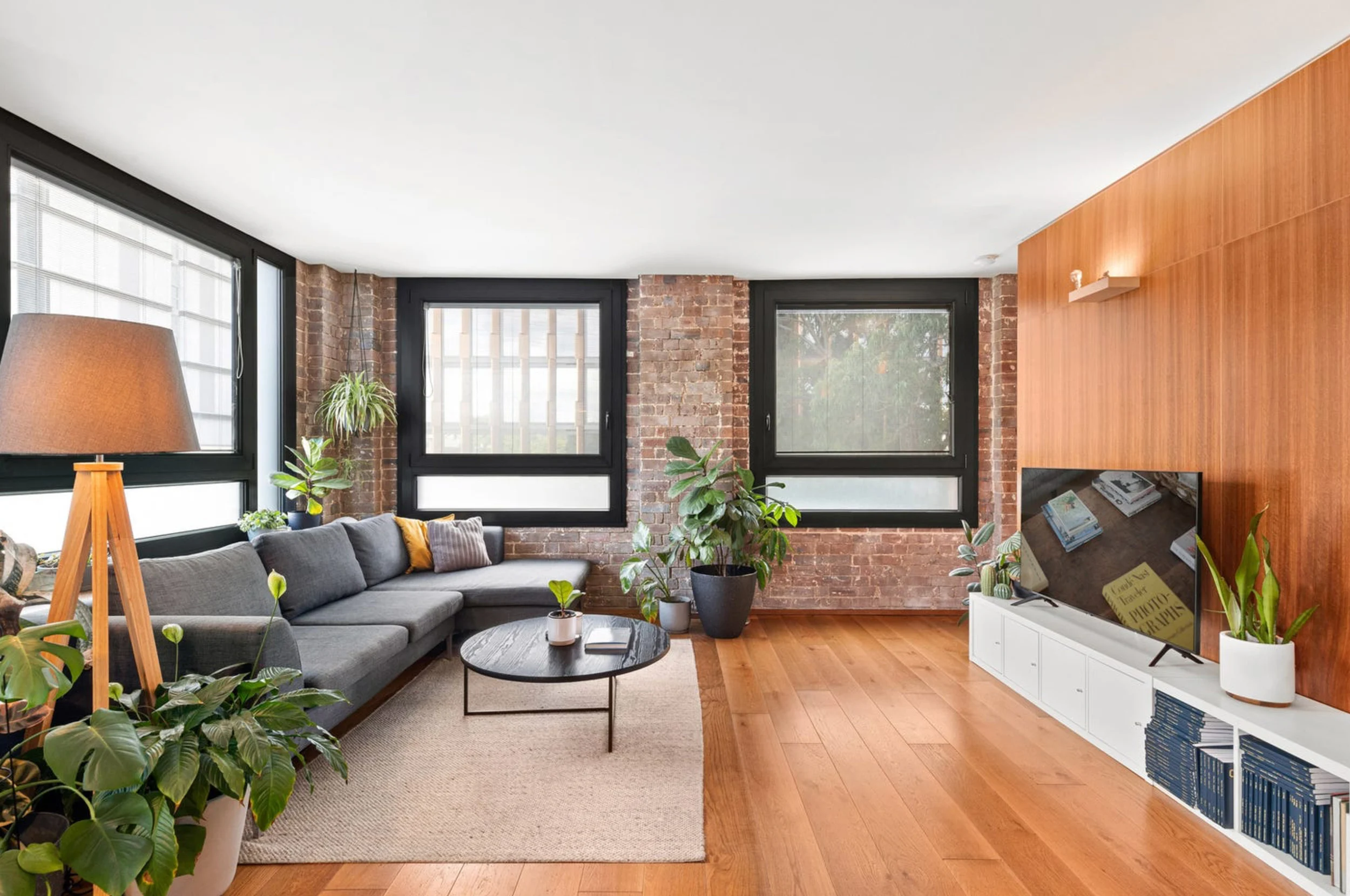 Lounge room of a property in Chippendale, Sydney designed by Ballina architects Markham Lee.