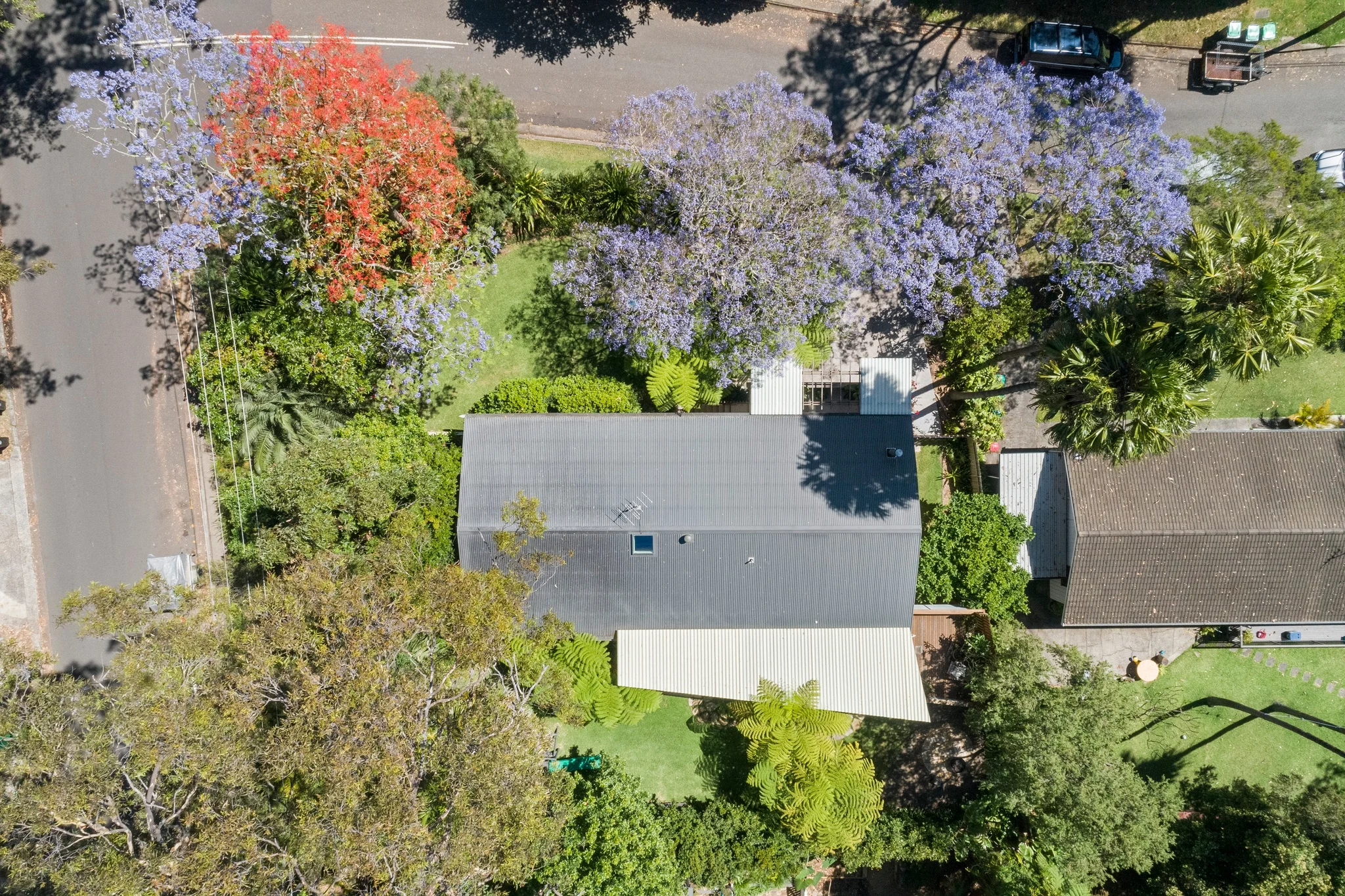 Aerial shot of a property in Avalon Beach, Sydney designed by Northern Beaches architects Markham Lee.
