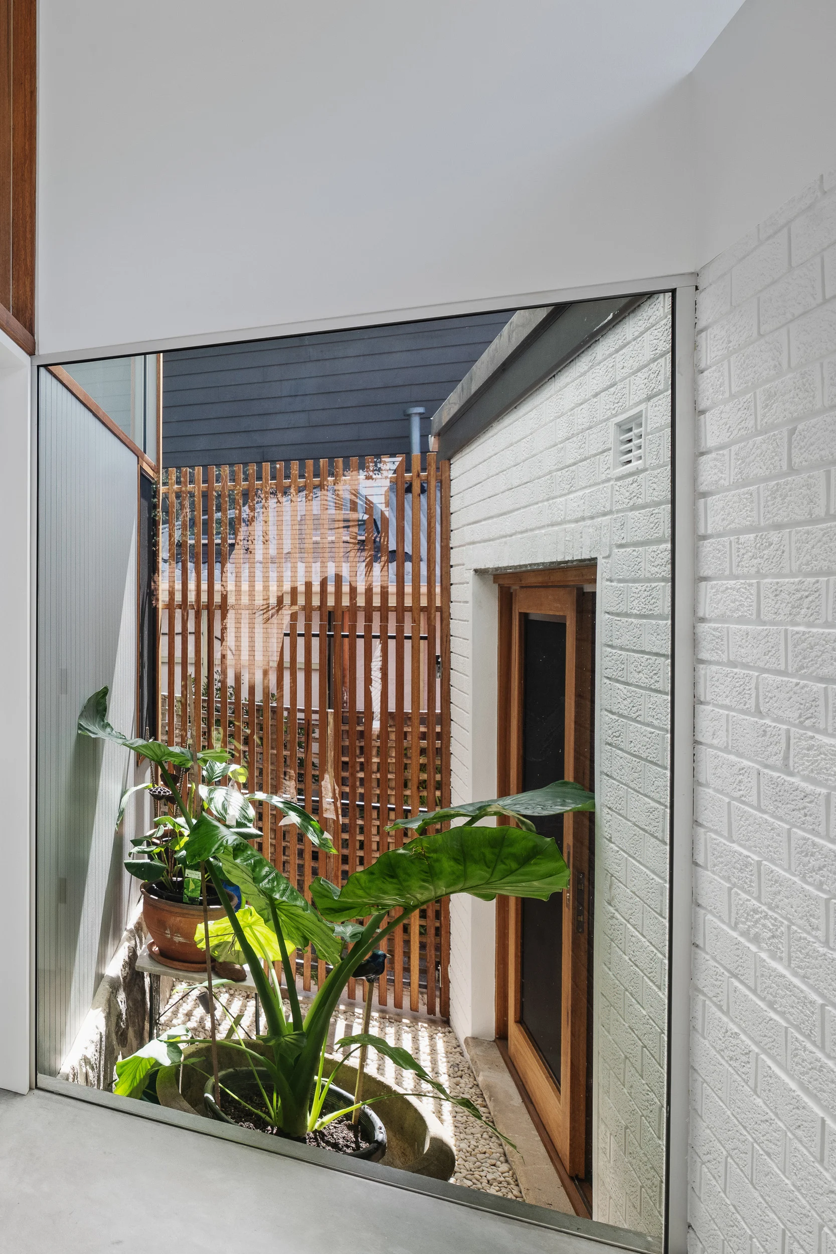 Interior of a property in Newport, Sydney designed by Northern Rivers architects Markham Lee.
